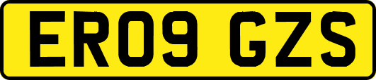 ER09GZS