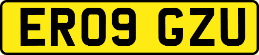 ER09GZU