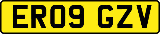 ER09GZV