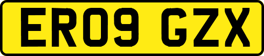 ER09GZX