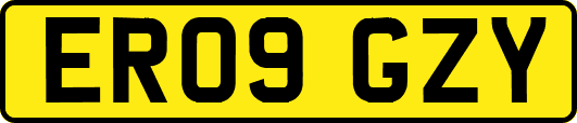 ER09GZY