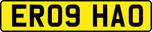 ER09HAO