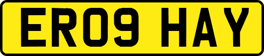 ER09HAY