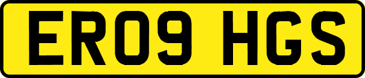 ER09HGS