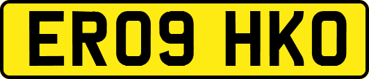 ER09HKO