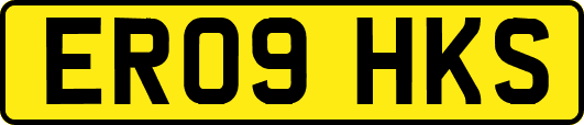 ER09HKS