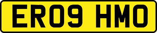 ER09HMO