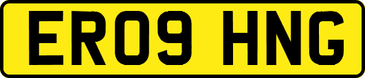 ER09HNG