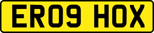ER09HOX