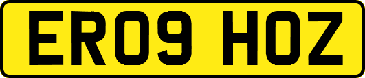 ER09HOZ