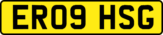 ER09HSG