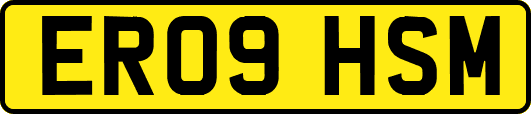 ER09HSM