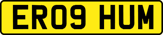 ER09HUM