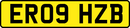 ER09HZB