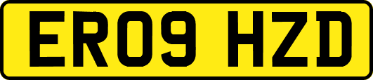 ER09HZD