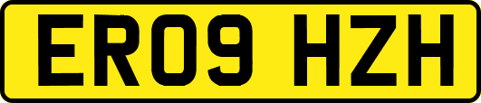 ER09HZH