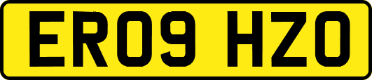 ER09HZO