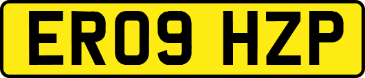ER09HZP