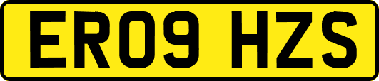 ER09HZS