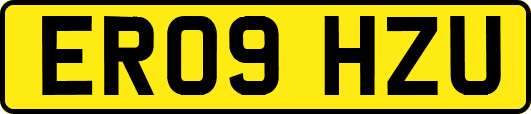 ER09HZU