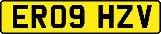 ER09HZV