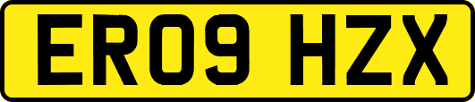 ER09HZX