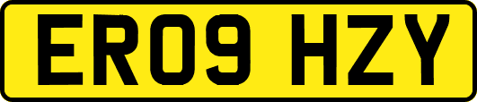 ER09HZY