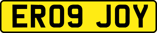 ER09JOY