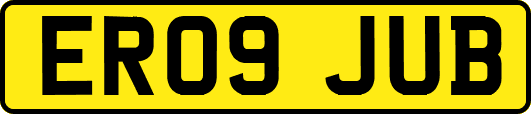 ER09JUB