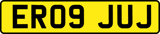 ER09JUJ