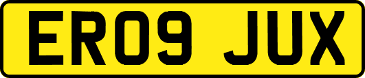 ER09JUX