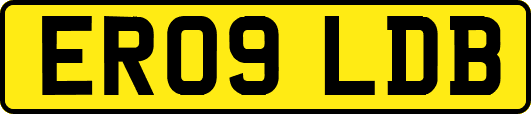 ER09LDB