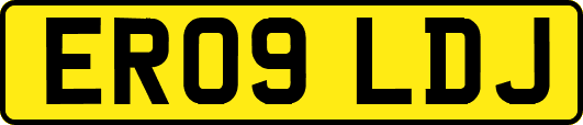 ER09LDJ