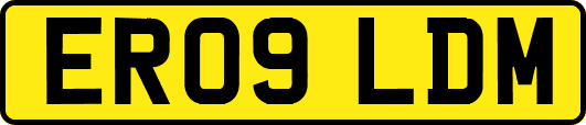 ER09LDM