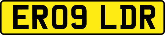 ER09LDR