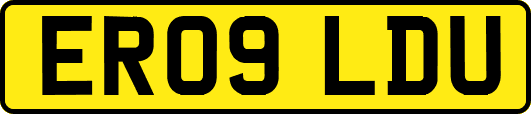 ER09LDU