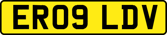 ER09LDV