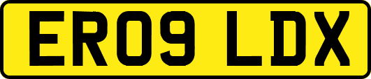 ER09LDX