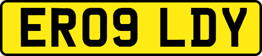 ER09LDY