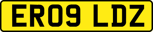 ER09LDZ