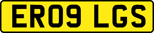 ER09LGS