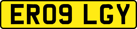 ER09LGY
