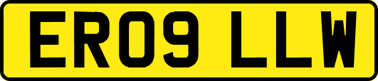 ER09LLW
