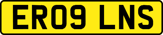 ER09LNS