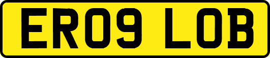 ER09LOB