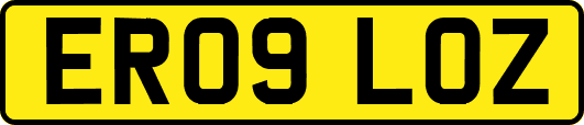 ER09LOZ