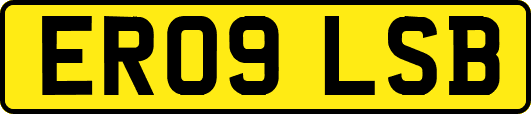 ER09LSB