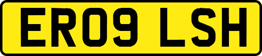 ER09LSH