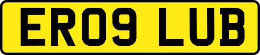 ER09LUB