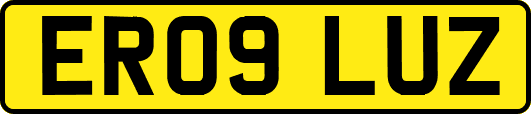 ER09LUZ